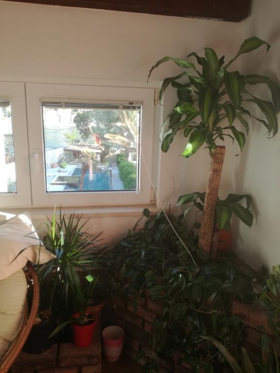 Mokošica Apartments Suton المظهر الخارجي الصورة